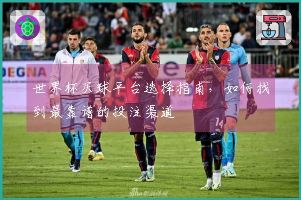 世界杯买球平台选择指南，如何找到最靠谱的投注渠道