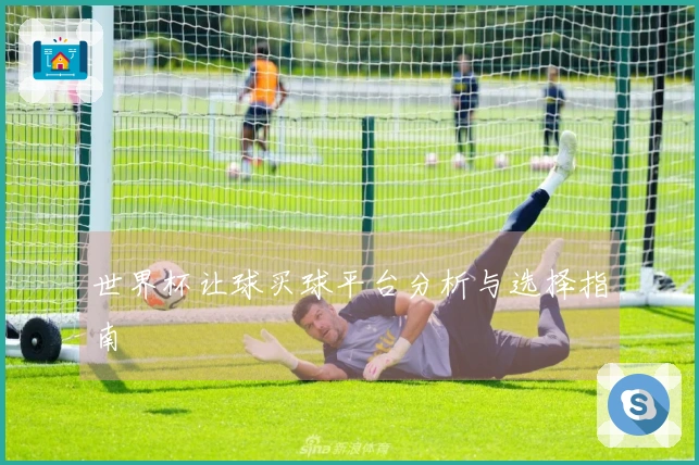 世界杯让球买球平台分析与选择指南