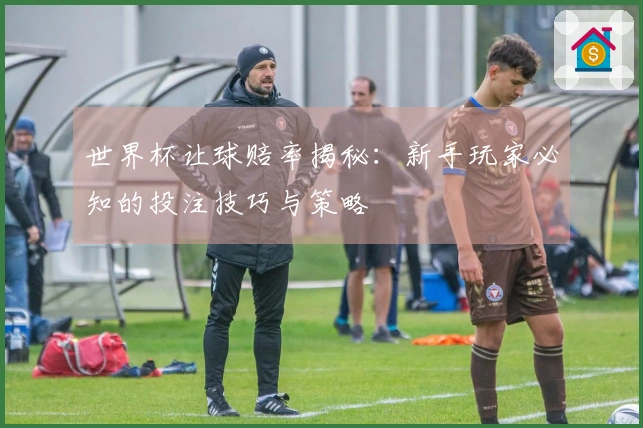 世界杯让球赔率揭秘：新手玩家必知的投注技巧与策略